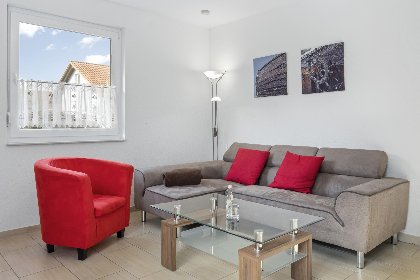 007 Stranddistel rechts 007 Stranddistel rechts