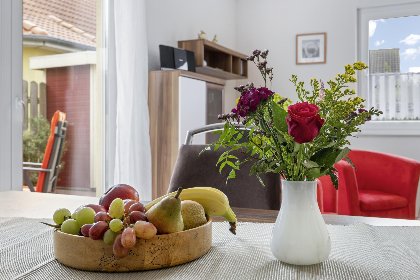 009 Stranddistel rechts 009 Stranddistel rechts