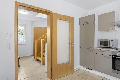 010 Stranddistel rechts 010 Stranddistel rechts