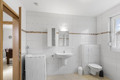 011 Stranddistel rechts 011 Stranddistel rechts