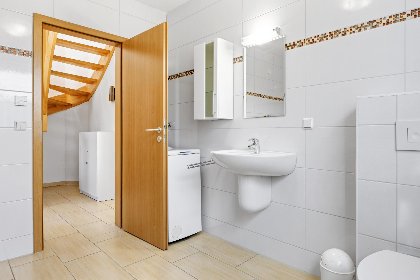 012 Stranddistel rechts 012 Stranddistel rechts