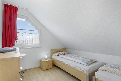 019 Stranddistel rechts 019 Stranddistel rechts