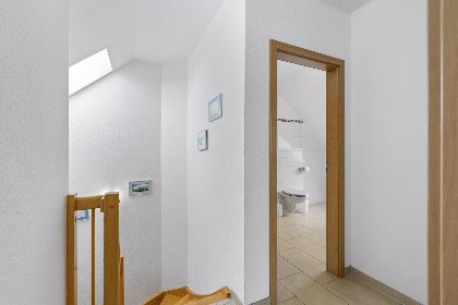 021 Stranddistel rechts 021 Stranddistel rechts