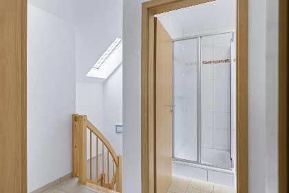 022 Stranddistel rechts 022 Stranddistel rechts