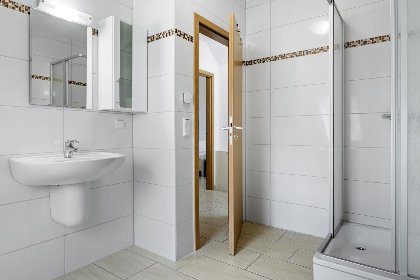 023 Stranddistel rechts 023 Stranddistel rechts