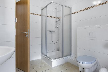 024 Stranddistel rechts 024 Stranddistel rechts