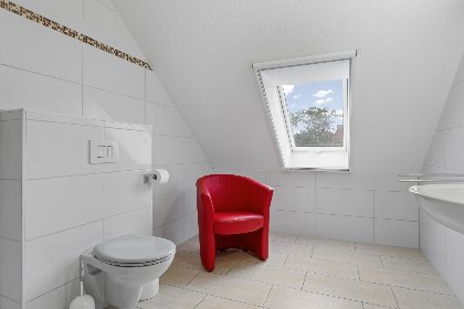 025 Stranddistel rechts 025 Stranddistel rechts