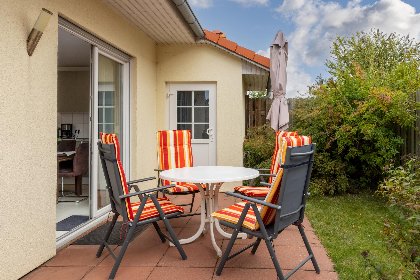 026 Stranddistel rechts 026 Stranddistel rechts