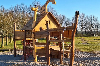 028 Stranddistel rechts 028 Stranddistel rechts