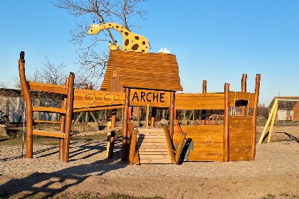 029 Stranddistel rechts 029 Stranddistel rechts