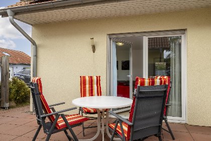 028 Stranddistel XL