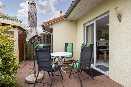 029 Stranddistel XL