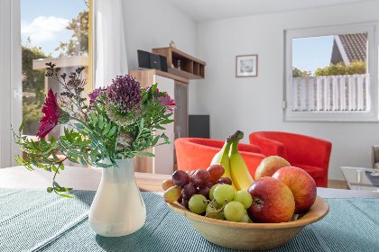 001 Windfluchter XL 001 Windfluchter XL