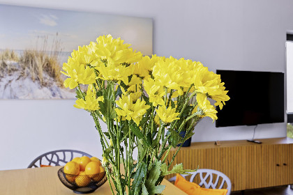 026 Mohnblume