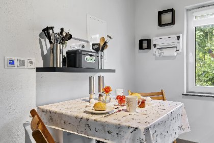 012 Nelsen mit Ruderboot auf Wassergrundstuck