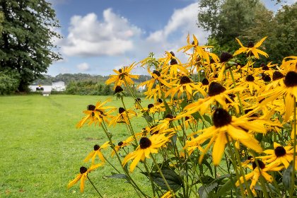 027 Nelsen mit Ruderboot auf Wassergrundstuck