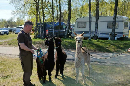 025 Bijzonder twee persoons cabin op vakantiepark Wilsumer Berge