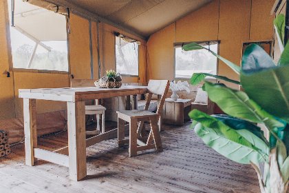 008 Glamfield Lodge Premium met hottub | 6 Pers