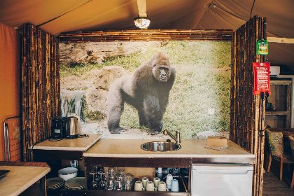 008 Glampingtent | 5 Pers