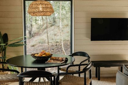 008 Hill Top Scandi met Sauna | 4 pers