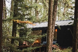 Koya Tiny Cabin | 2 Pers