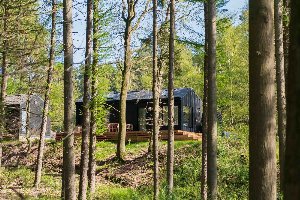 Koya Tiny Cabin met Buitenbad | 4 pers