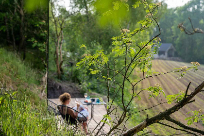 007 Leven in een spiegel! Unieke OOD Tiny House in Wilsum | Duitsland