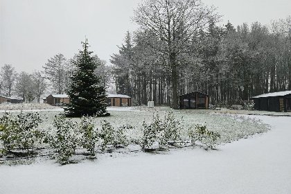 035 Nature Lodge met Panorama Sauna | 6 Pers