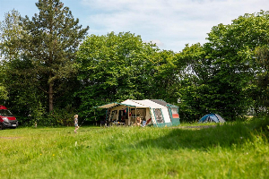 Standaard kampeerplaats   Huisdiervrij