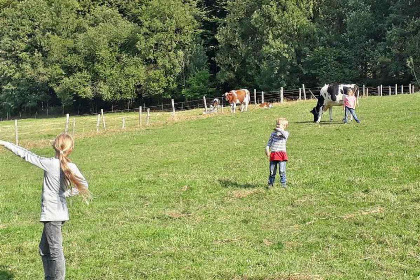 006 Comfortabel 5 persoons vakantiehuis op de boerderij in Sauerland