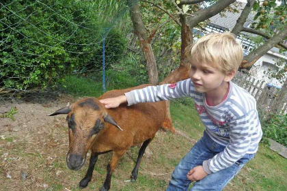 013 Comfortabel 5 persoons vakantiehuis op de boerderij in Sauerland