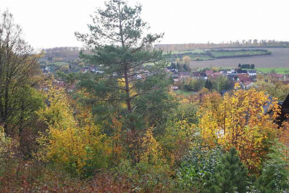 009 Prachtig 4 persoons vakantiehuisje in Sauerland