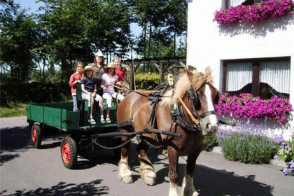 006 Mooi 12 persoons boerderijappartement nabij Monschau   Eifel