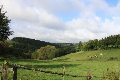 003 Mooi 5 persoons boerderijappartement nabij Monschau   Eifel