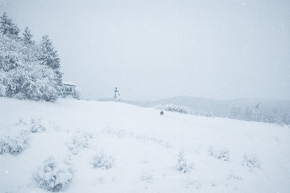 033 Appartement Resort Winterberg   Neuastenbergerstrasse 39 41 | Neuastenberg