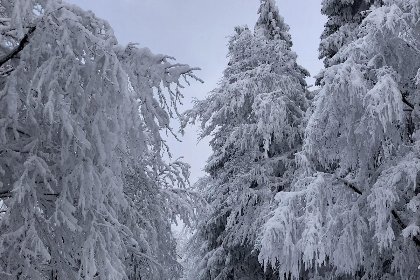018 Appartement Winterberg 'Kleines Gluck': je perfecte Uitvalsbasis in Sauerland (Winterbergerstrasse 3 | Winterberg Neuastenberg