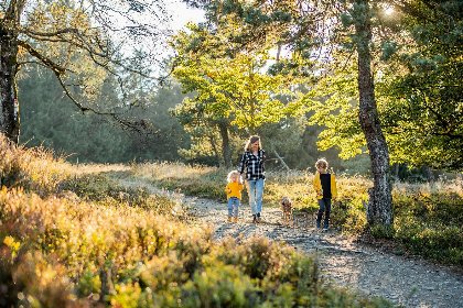 087 Appartement Winterberg 'Kleines Gluck': je perfecte Uitvalsbasis in Sauerland (Winterbergerstrasse 3 | Winterberg Neuastenberg