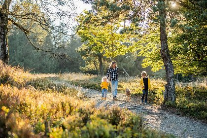 092 Appartement 'Wintergluck'  nabij het wandel  en skigebied Postwiese   Winterbergerstrasse 3 | Neuastenberg