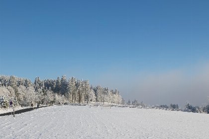 054 Gerenoveerd appartement voor 4 personen op 200 meter van de piste Postwiese | Neuastenbergerstrasse 4   Neuastenberg (Winterberg)