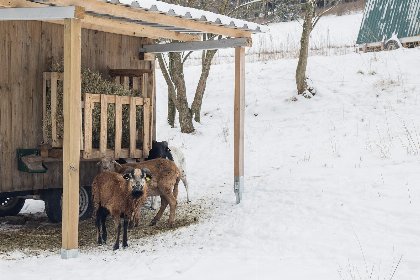 022 Appartement Am Kleehagen 26 R | Niedersfeld (Winterberg) 022 Appartement Am Kleehagen 26 R | Niedersfeld (Winterberg)