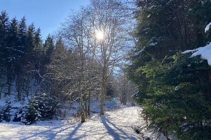 009 Ruime 30 persoons groepsaccommodatie in Wulmeringhausen, nabij Winterberg