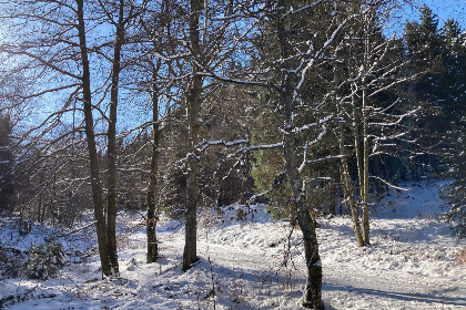 021 Ruime 30 persoons groepsaccommodatie in Wulmeringhausen, nabij Winterberg