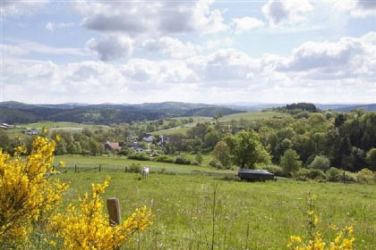 028 10 12 persoons vakantiewoning met internet in Winterberg