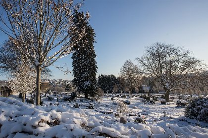 070 Am Sudhang 27 Winterberg | Knusse vakantiewoning nabij centrum 