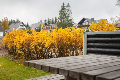 010 Appartement   Dr. Suren Strasse 13 4 | Winterberg