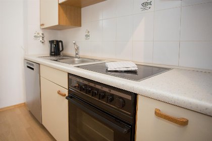 003 Appartement Winterberg | houtkachel en balkon, 4 personen | Kapperundweg 4