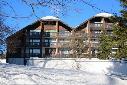 011 Appartement Winterberg | houtkachel en balkon, 4 personen | Kapperundweg 4