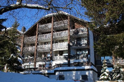 034 Appartement Winterberg | houtkachel en balkon, 4 personen | Kapperundweg 4