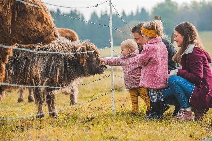 025 Appartement   Winterbergerstrasse 3, nr. 505 | Neuastenberg