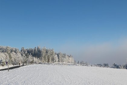 054 Appartement   Winterbergerstrasse 3, nr. 505 | Neuastenberg